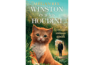 Megan Rix - Winston és a kis Houdini
