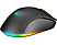 RAMPAGE SMX-R89 X-Pike Kablosuz/Kablolu RGB Ledli Şarjlı Gaming Oyuncu Mouse Siyah