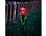 GARDEN OF EDEN Leszúrható szolár tulipán, sárga/piros/rózsaszín, 31 x 5,7 cm, fehér LED (11750)