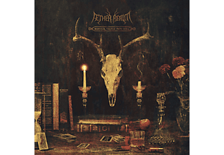 Aether Realm - Redneck Vikings From Hell (Digipak) (Vinyl LP (nagylemez))