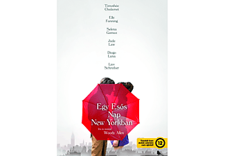 Egy esős nap New Yorkban (DVD)