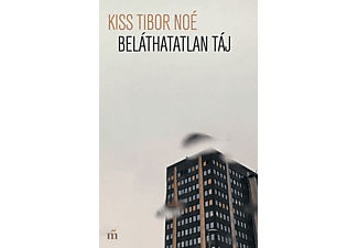 Kiss Tibor Noé - Beláthatatlan táj