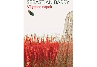 Sebastian Barry - Végtelen napok