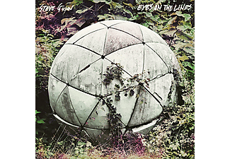 Steve Gunn - Eyes on the Lines (Vinyl LP (nagylemez))