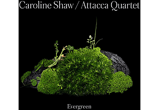 Caroline Shaw - Evergreen (CD)