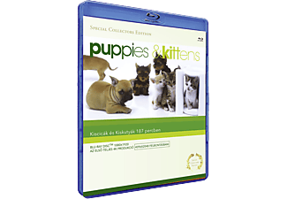 Kiscicák és kiskutyák (4K Ultra HD Blu-ray)