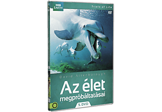 Az élet megpróbáltatásai 5. (DVD)