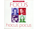 Focus - Hocus Pocus - The Best Of Focus (Audiophile Edition) (Vinyl LP (nagylemez))