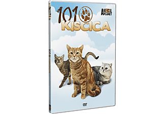 101 Kiscica (DVD)
