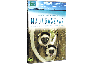 Madagaszkár (DVD)