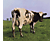 Pink Floyd - Atom Heart Mother (CD)