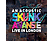 Skunk Anansie - An Acoustic Skunk Anansie - Live In London (DVD)