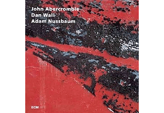 John Abercrombie - While We're Young (CD)