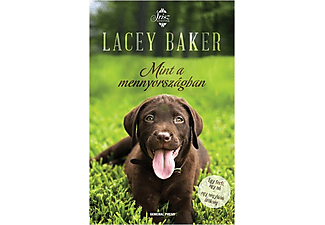 Lacey Baker - Mint a mennyországban