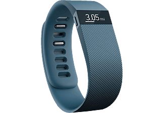 FITBIT Charge aktivitás- és alvásmérő karpánt, szürke, L méret (FB404SLL-EU)