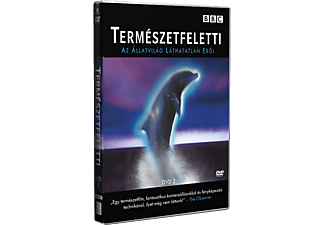 Természetfeletti 2. (DVD)