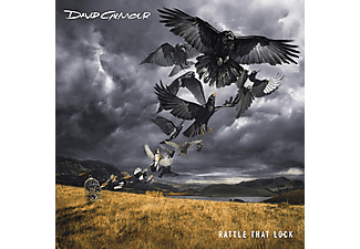 David Gilmour - Rattle That Lock (CD)