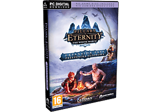 Pillars of Eternity: The White March Expansion Pass (PC)