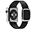 APPLE MJYM2TU/A Akıllı Saat 38 mm Paslanmaz Çelik Kasa Modern Tokalı Siyah Kordon (Large)