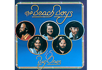 The Beach Boys - 15 Big Ones / Love You (CD)