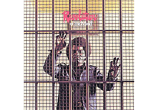 James Brown - Revolution of The Mind (CD)