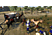 ARAL Mount & Blade: Ateş ve Kılıç PC