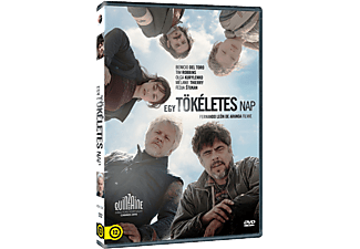 Egy tökéletes nap (DVD)