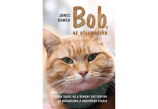James Bowen - Bob, az utcamacska