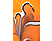 Szenilla - Fiú rövid ujjú, narancssárga - 116- 122 - póló