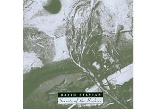 David Sylvian - Secrets of the Beehive (Remastered Edition) (CD)