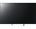 SONY 49XE7005 49'' 123 cm Ultra HD Smart LED TV