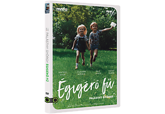 Égigérő fű (DVD)