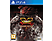Street Fighter V Arcade Edition  (PlayStation 4)