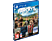 Far Cry 5 (PlayStation 4)