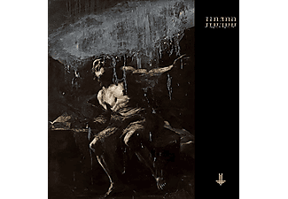 Behemoth - I Loved You At Your Darkest (Vinyl LP (nagylemez))