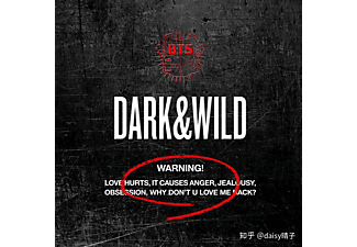 BTS - Vol.1 (Dark & Wild) (Limited Edition) (CD + könyv)