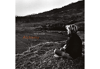 David Sylvian - Alchemy: An Index Of Possibilities (Vinyl LP (nagylemez))