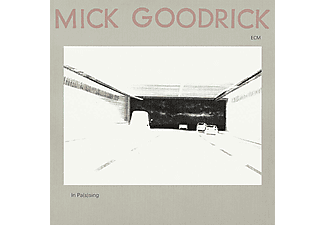 Mick Goodrick - In Pa(s)sing (CD)