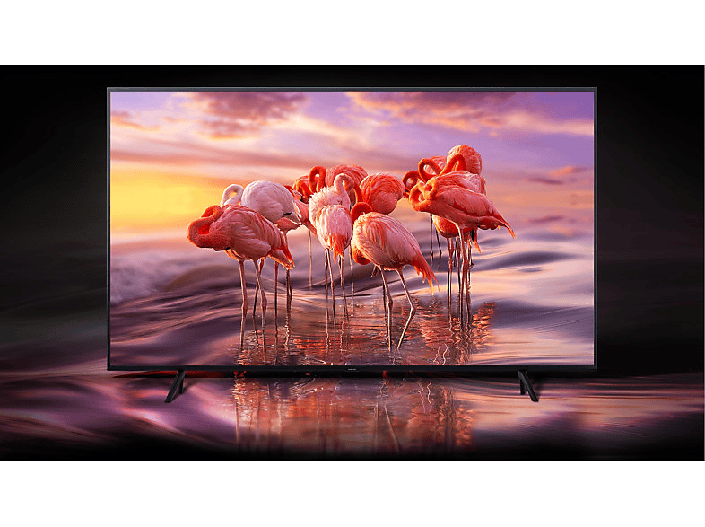 QLED Tv Samsung