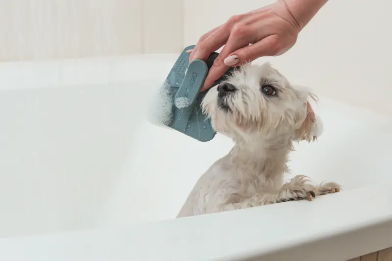 PetiGIO silikonowa PETI-TO-CARE – zdjęcie 3