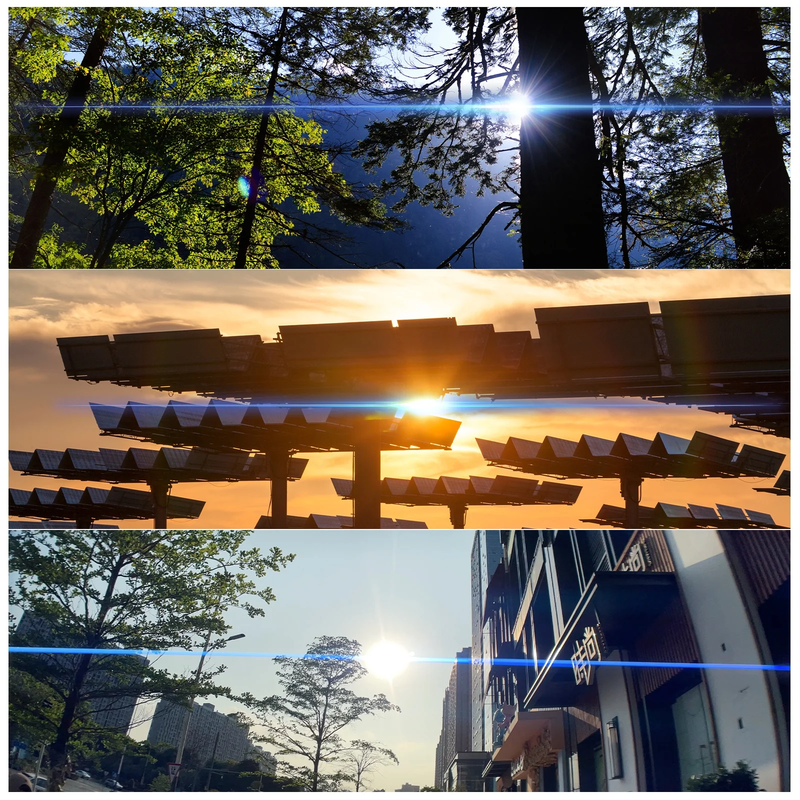 Trzy obrazy światła słonecznego przez drzewa i konstrukcje. Słońce jest jasne na każdym zdjęciu.