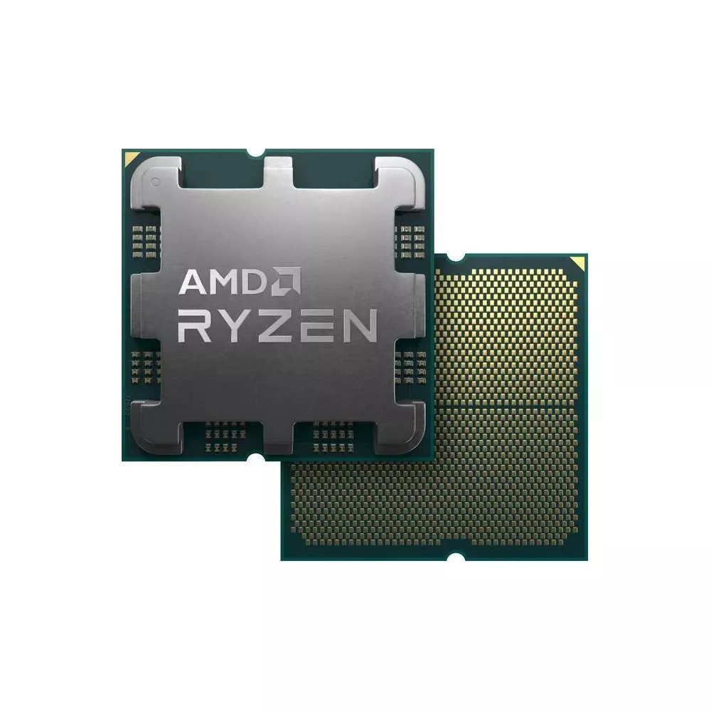 Pokazano dwa procesory AMD Ryzen. Jeden ma logo AMD Ryzen, drugi piny.