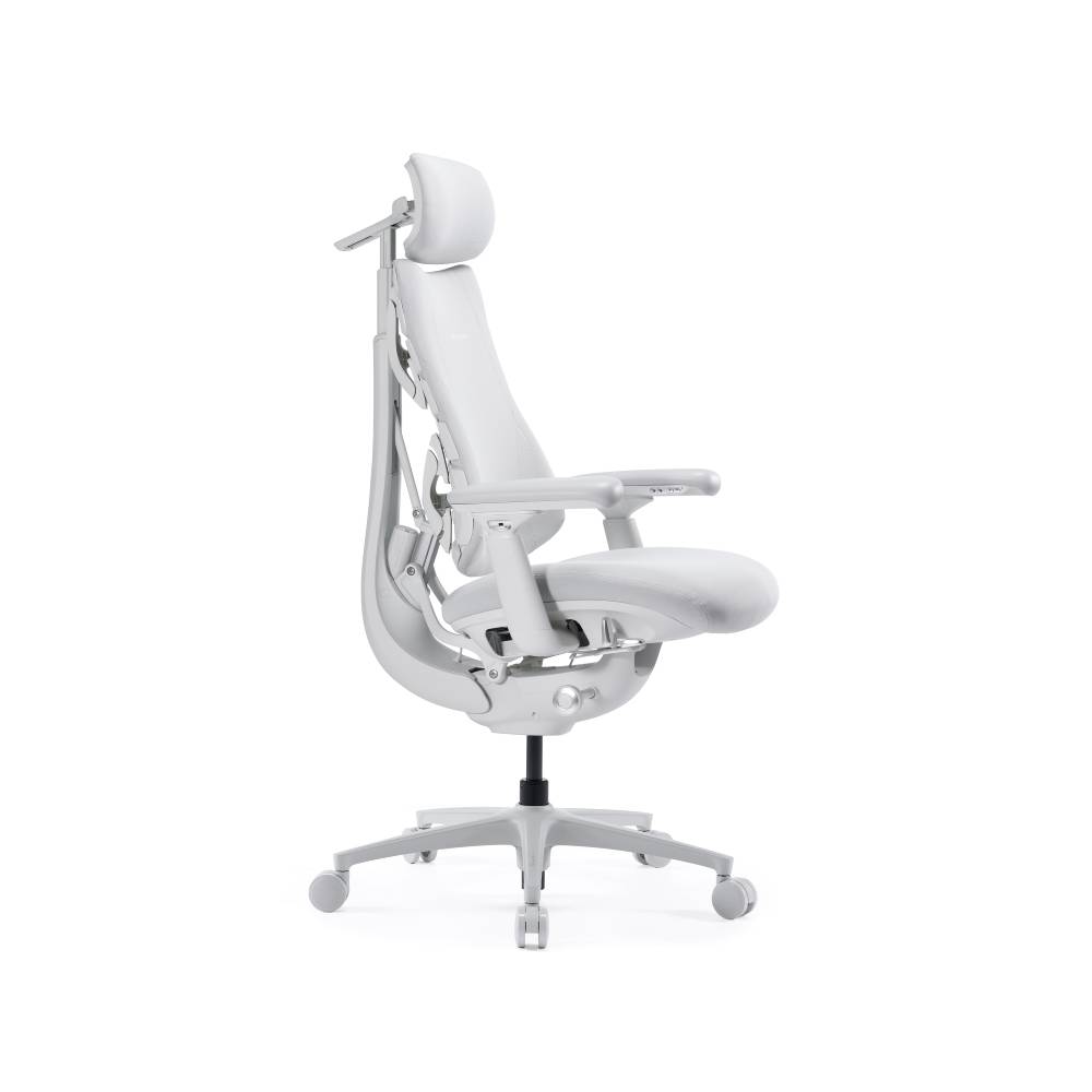 LIBERNOVO Omni Pro Chaise de bureau