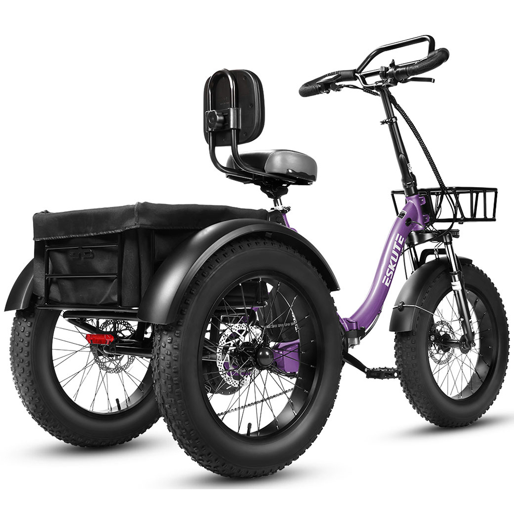 Bicicletta pieghevole ESKUTE T302 Pro+(Borsa per telefono + Specchietti retrovisori + Lucchetto a combinazione )