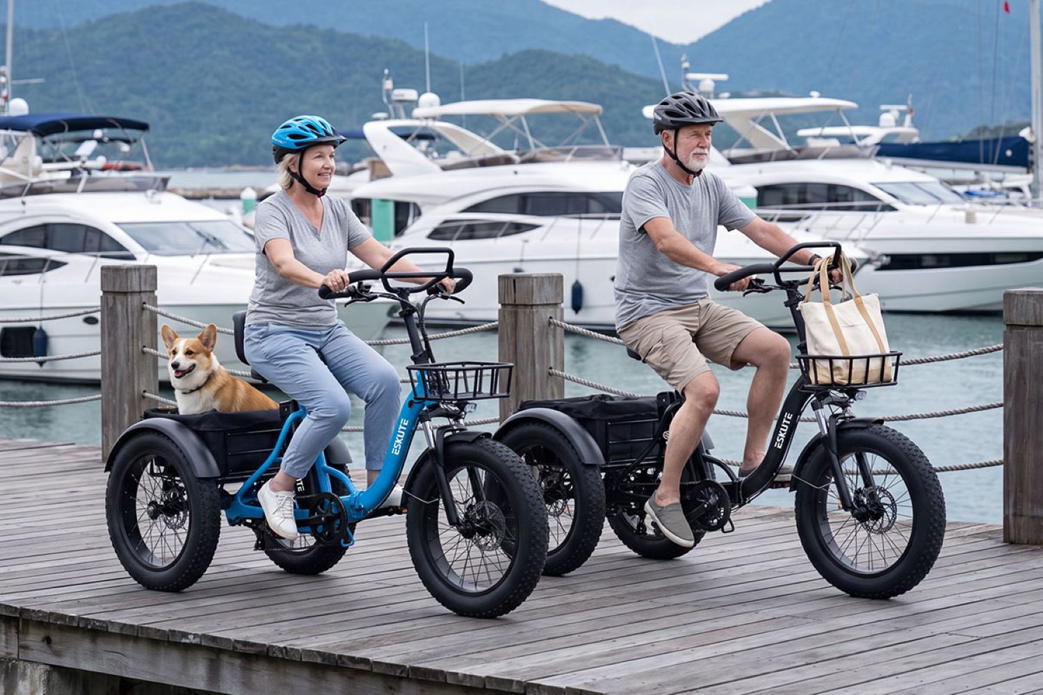 Bicicletta pieghevole ESKUTE T302 Pro+(Borsa per telefono + Specchietti retrovisori + Lucchetto a combinazione )