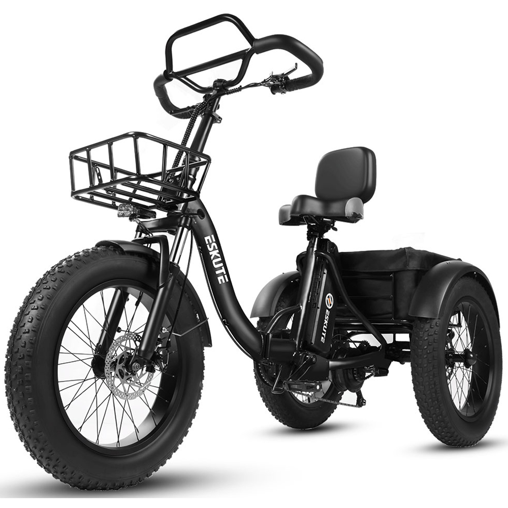 Bicicletta pieghevole ESKUTE T302 Pro