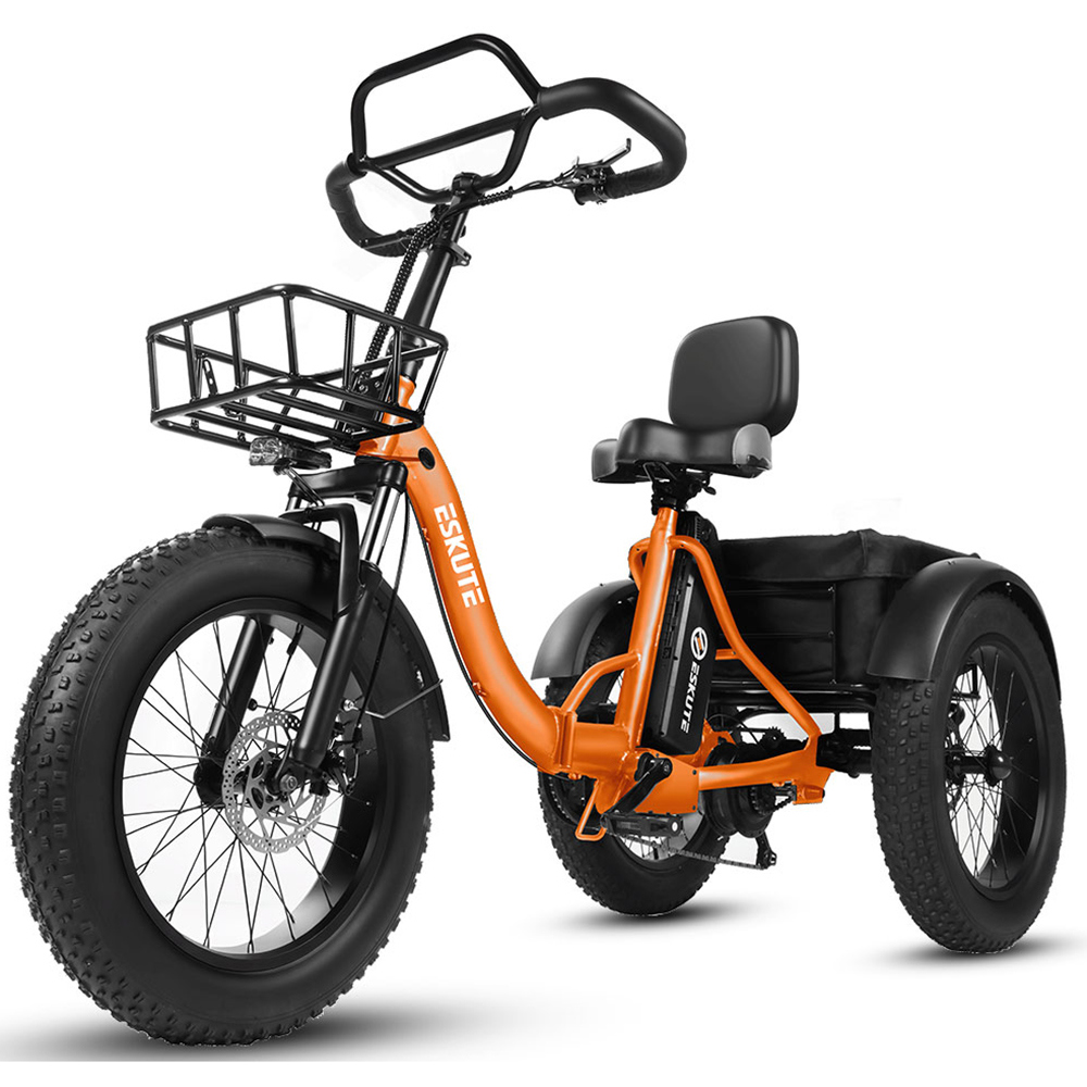 Bicicletta pieghevole ESKUTE T302 Pro