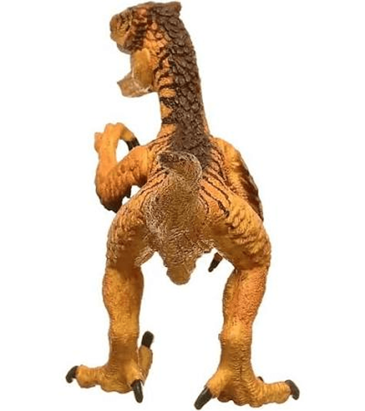 Figura - SCHLEICH Velociraptor, Dinosaurs, 10,3 cm, 4 año(s), Plástico