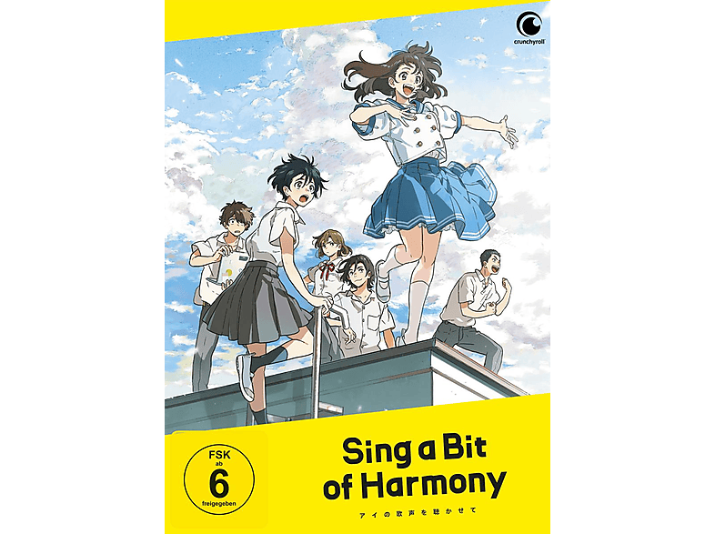 Sing a Bit of Harmony DVD (FSK: 6)