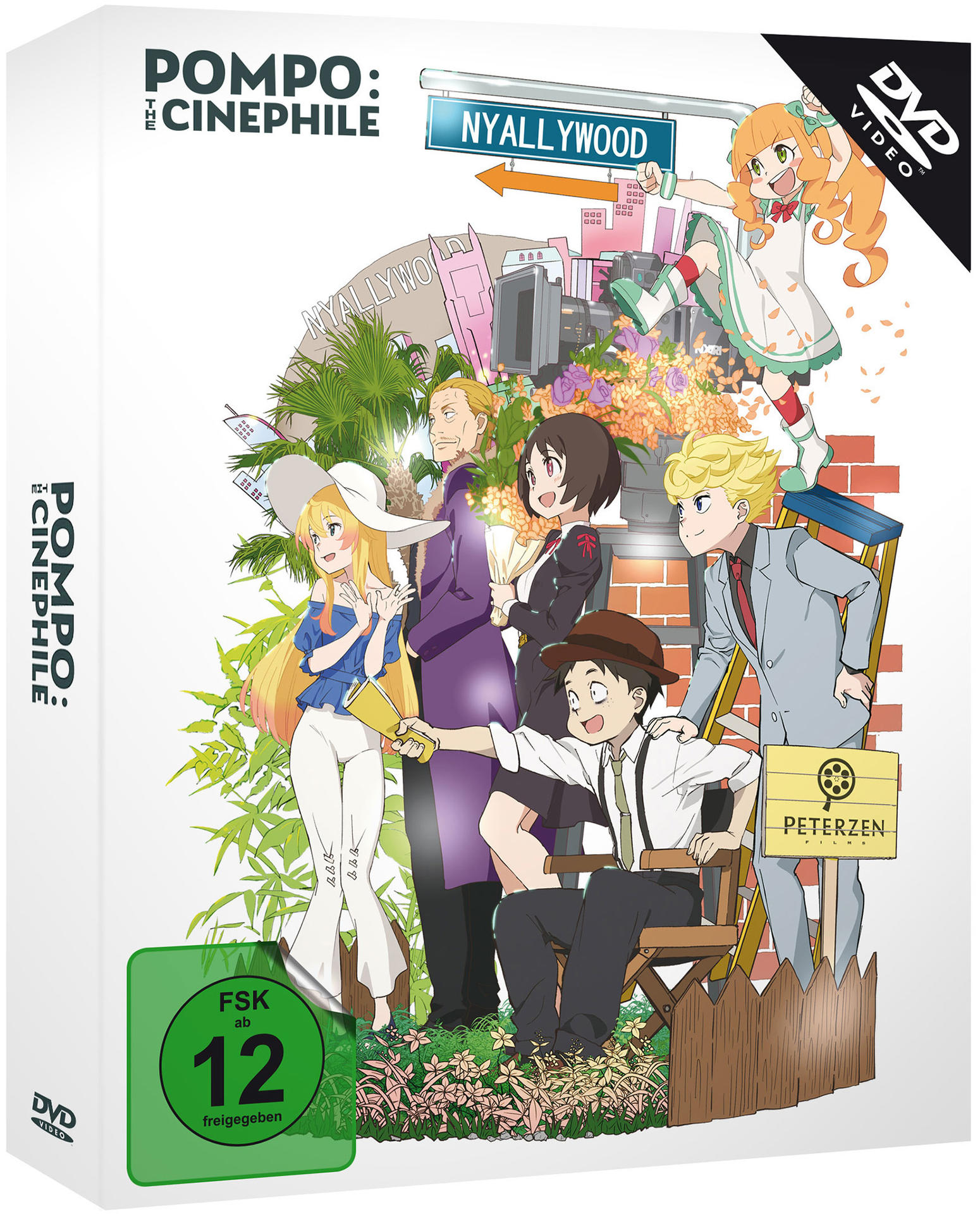 DVD-Box mit Anime-Charakteren vor einem Hintergrund im NY-Stil.